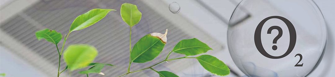 YCM - Air Purifier Performance