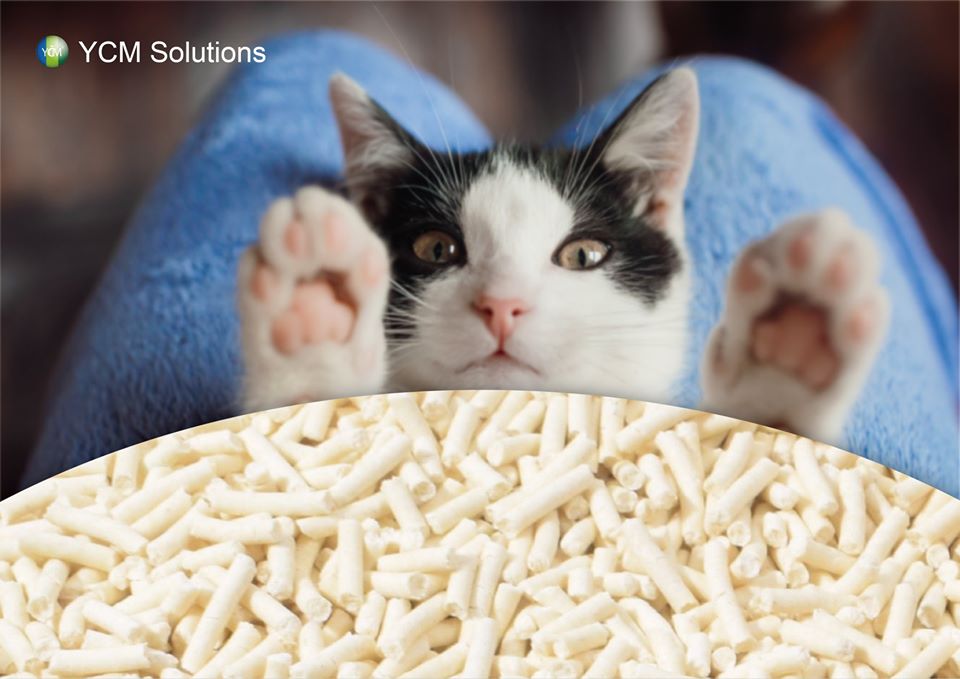 Ycm Cat Litter