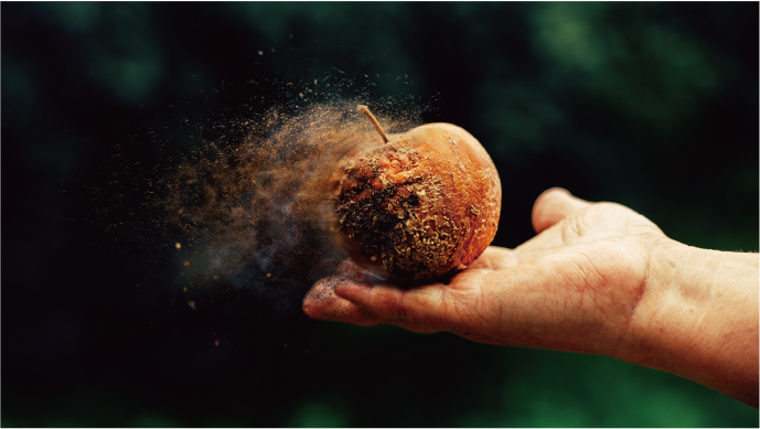 Ycm Mold Decomposition