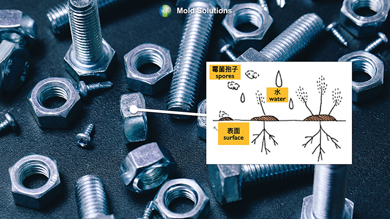 Ycm Mold Grow In Metal