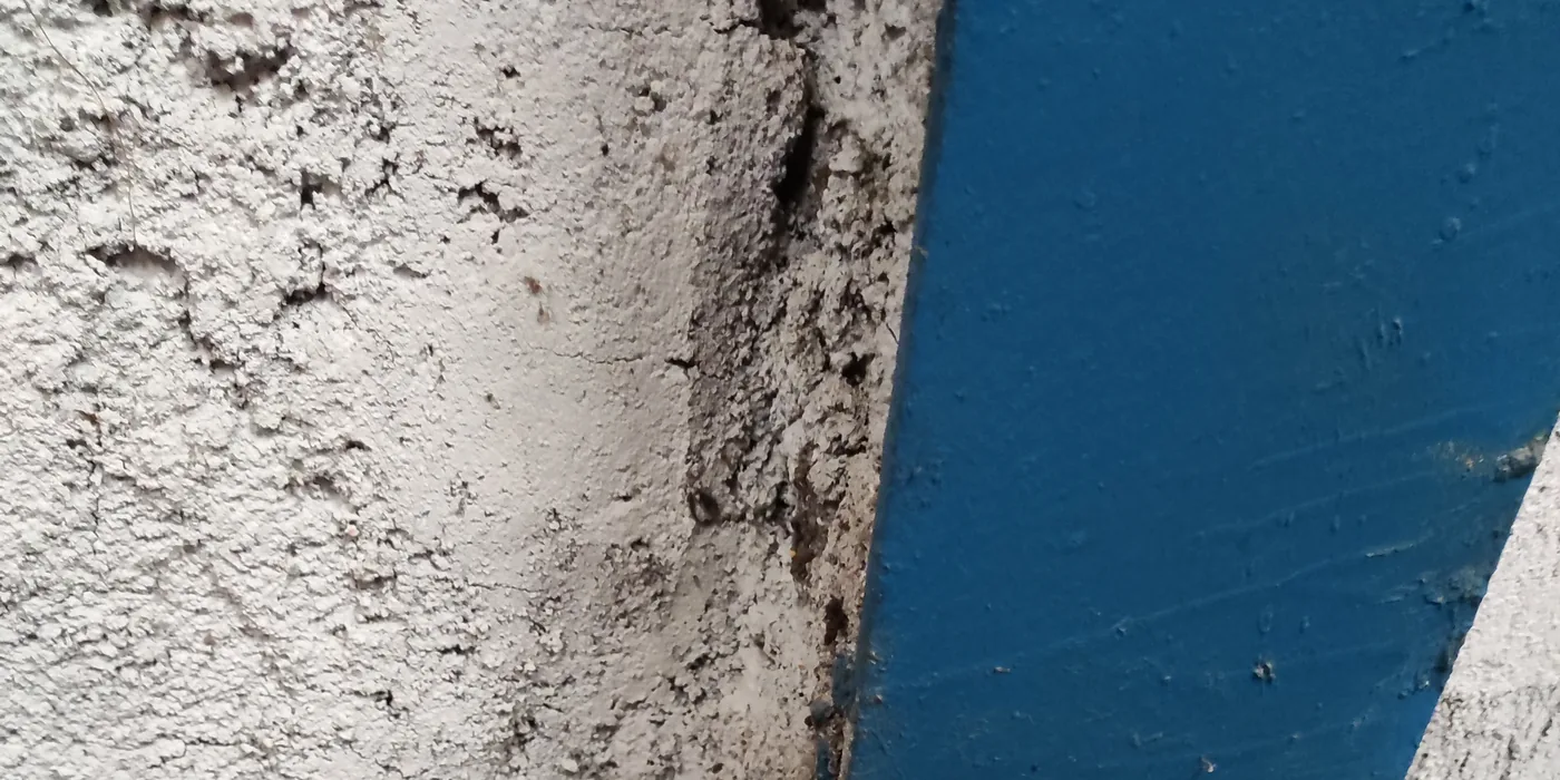 A3 Hero Moldy Wall Closeup
